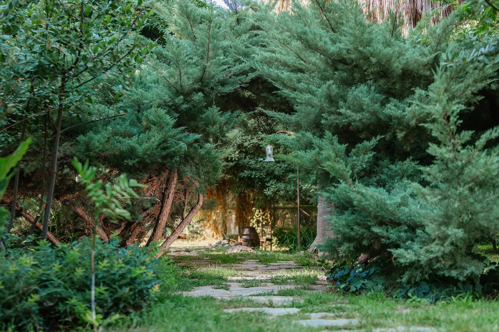 Olympos Lodge Чирали Экстерьер фото